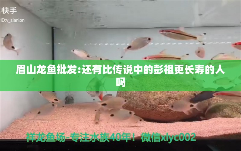 眉山龙鱼批发:还有比传说中的彭祖更长寿的人吗