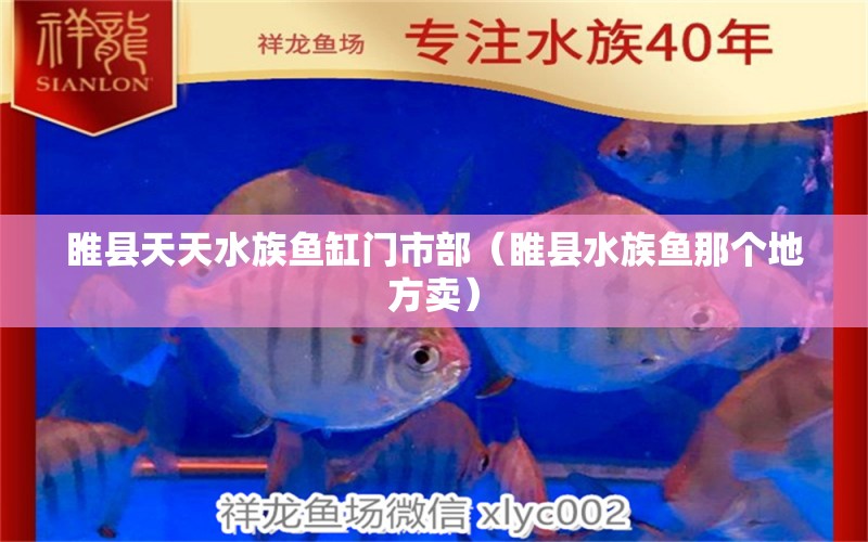 睢县天天水族鱼缸门市部（睢县水族鱼那个地方卖） 全国水族馆企业名录