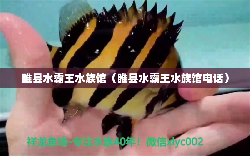 睢县水霸王水族馆（睢县水霸王水族馆电话）