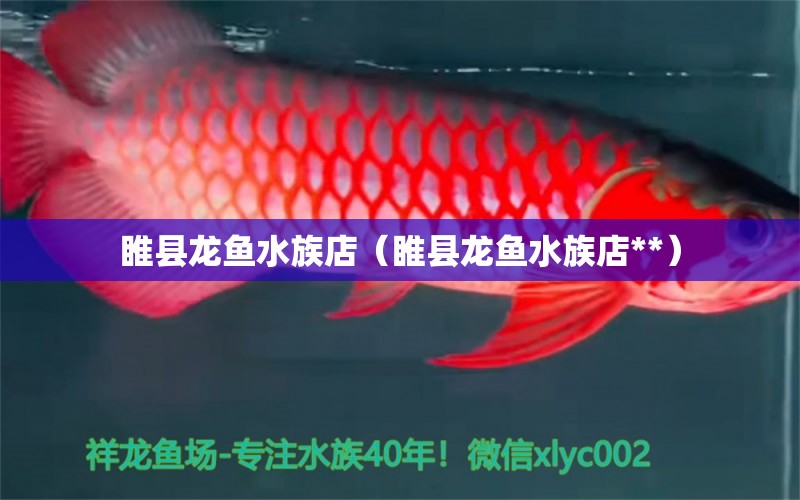 睢县龙鱼水族店（睢县龙鱼水族店**）