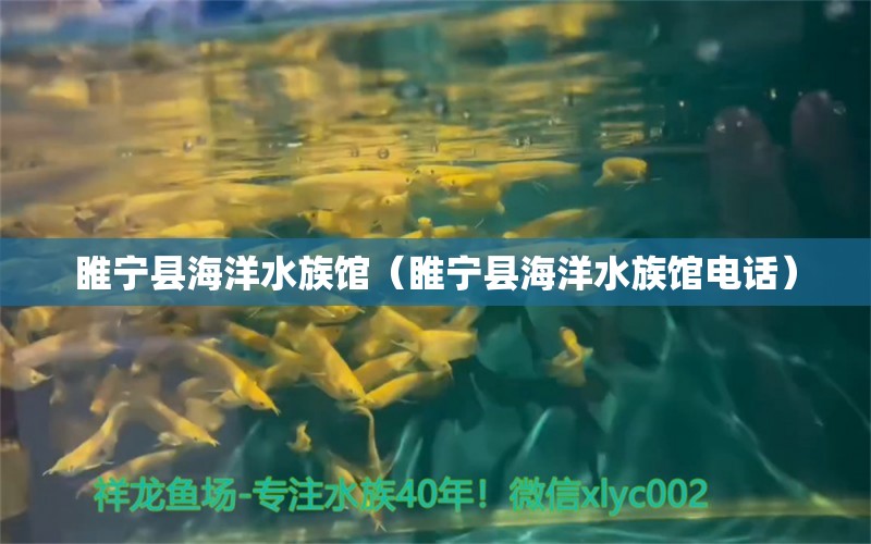 睢宁县海洋水族馆（睢宁县海洋水族馆电话）