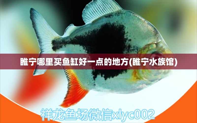 睢宁哪里买鱼缸好一点的地方(睢宁水族馆)