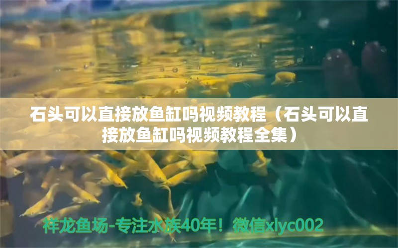 石头可以直接放鱼缸吗视频教程（石头可以直接放鱼缸吗视频教程全集） 其他品牌鱼缸