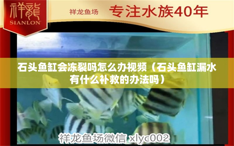 石头鱼缸会冻裂吗怎么办视频（石头鱼缸漏水有什么补救的办法吗）