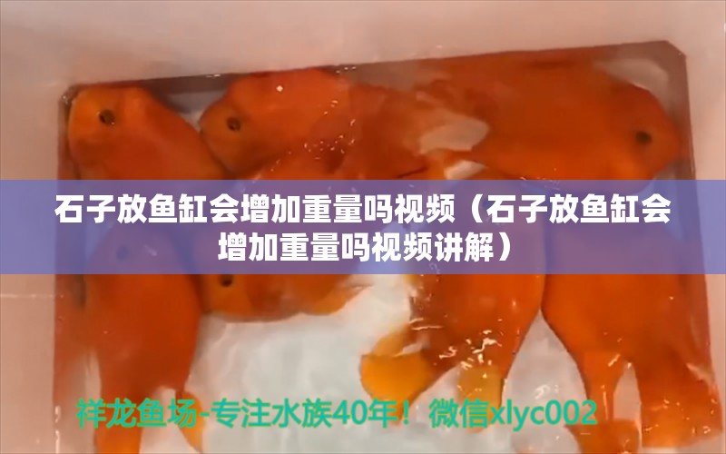 石子放鱼缸会增加重量吗视频（石子放鱼缸会增加重量吗视频讲解） 其他品牌鱼缸