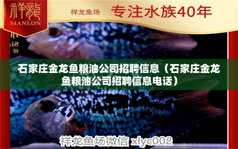 石家庄金龙鱼粮油公司招聘信息（石家庄金龙鱼粮油公司招聘信息电话）