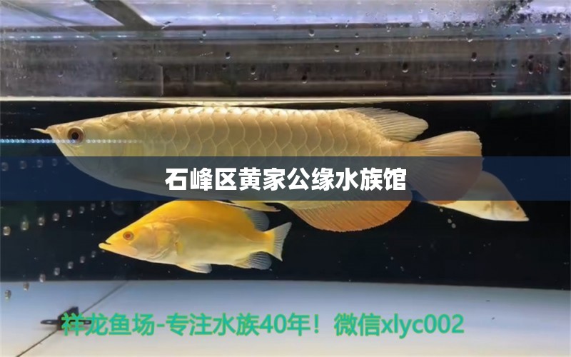 石峰区黄家公缘水族馆 全国水族馆企业名录