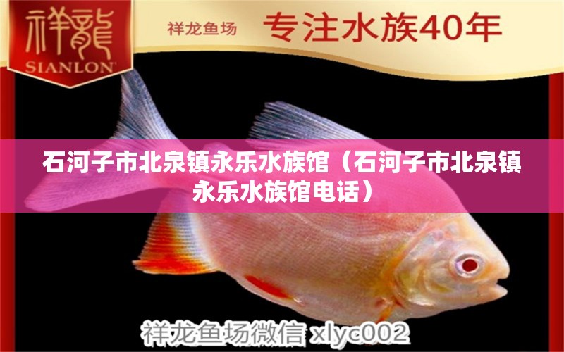 石河子市北泉镇永乐水族馆（石河子市北泉镇永乐水族馆电话） 全国水族馆企业名录