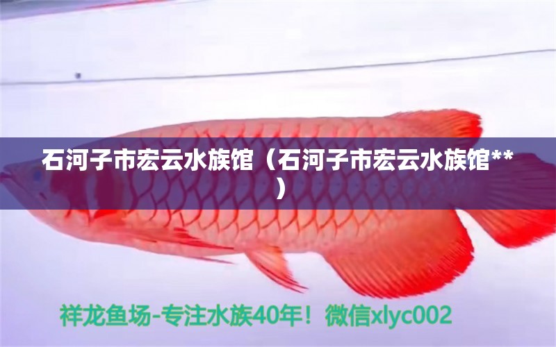 石河子市宏云水族馆（石河子市宏云水族馆**）