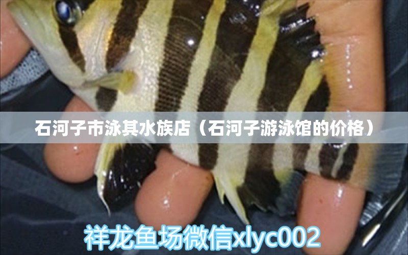 石河子市泳其水族店（石河子游泳馆的价格） 全国水族馆企业名录