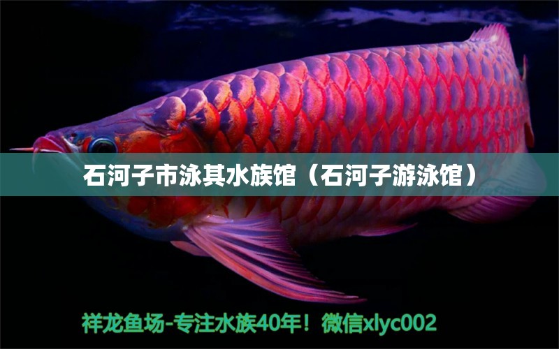 石河子市泳其水族馆（石河子游泳馆）