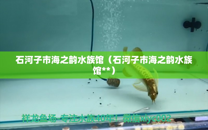 石河子市海之韵水族馆（石河子市海之韵水族馆**）