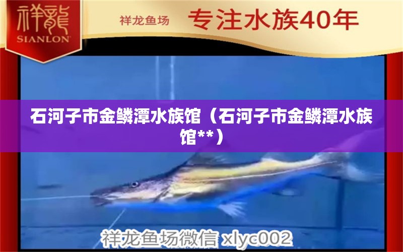 石河子市金鳞潭水族馆（石河子市金鳞潭水族馆**） 全国水族馆企业名录