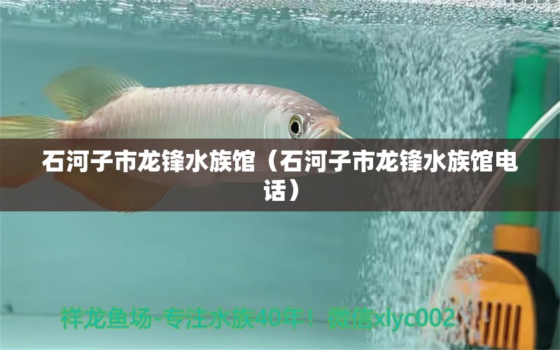 石河子市龙锋水族馆（石河子市龙锋水族馆电话）