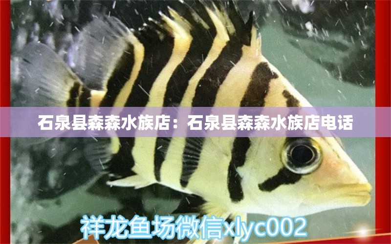 石泉县森森水族店：石泉县森森水族店电话 全国水族馆企业名录