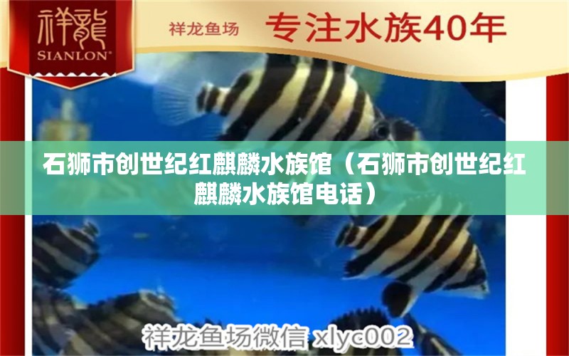 石狮市创世纪红麒麟水族馆（石狮市创世纪红麒麟水族馆电话） 全国水族馆企业名录