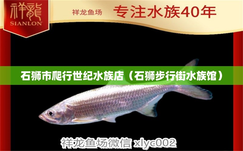 石狮市爬行世纪水族店（石狮步行街水族馆） 全国水族馆企业名录