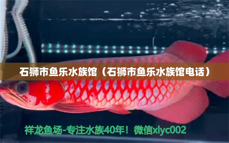 石狮市鱼乐水族馆（石狮市鱼乐水族馆电话） 全国水族馆企业名录