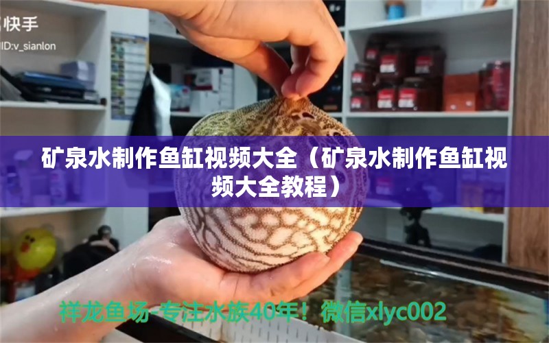 矿泉水制作鱼缸视频大全（矿泉水制作鱼缸视频大全教程）