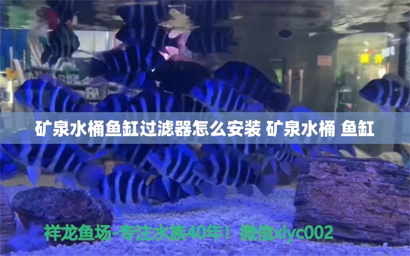 矿泉水桶鱼缸过滤器怎么安装 矿泉水桶 鱼缸 照明器材 第1张