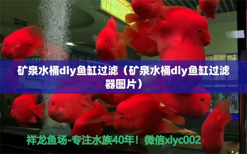 矿泉水桶diy鱼缸过滤（矿泉水桶diy鱼缸过滤器图片） 广州观赏鱼批发市场