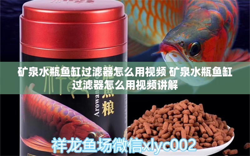 矿泉水瓶鱼缸过滤器怎么用视频 矿泉水瓶鱼缸过滤器怎么用视频讲解