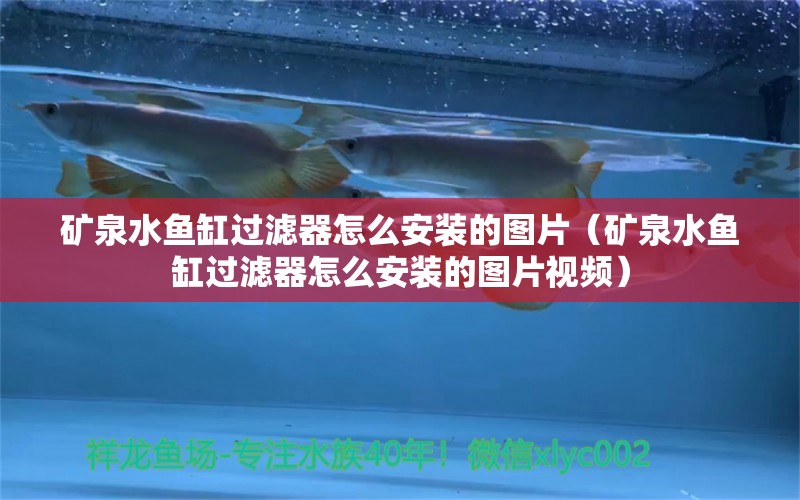 矿泉水鱼缸过滤器怎么安装的图片（矿泉水鱼缸过滤器怎么安装的图片视频） 高背金龙鱼