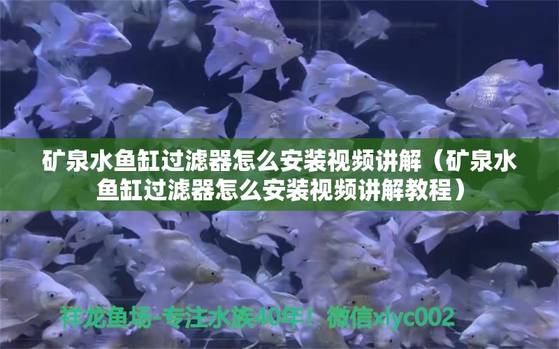 矿泉水鱼缸过滤器怎么安装视频讲解（矿泉水鱼缸过滤器怎么安装视频讲解教程）