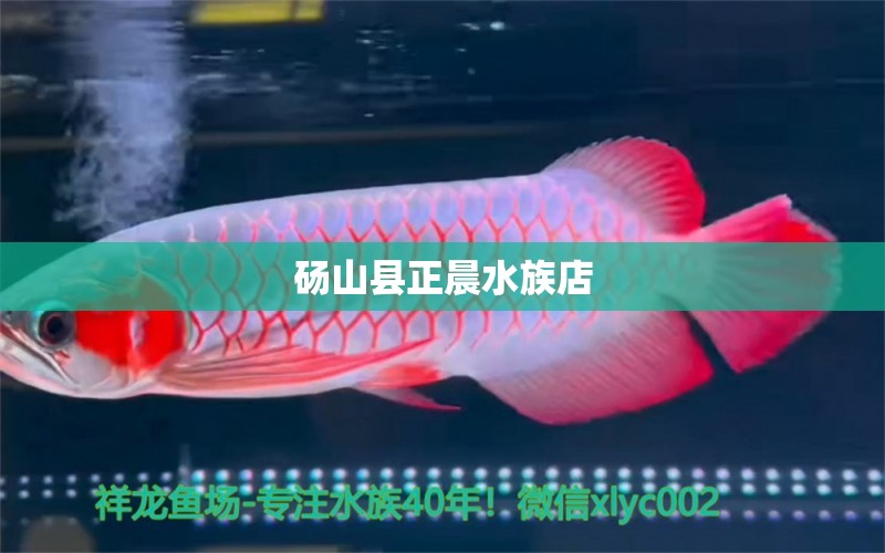 砀山县正晨水族店 全国水族馆企业名录