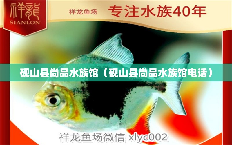 砚山县尚品水族馆（砚山县尚品水族馆电话）