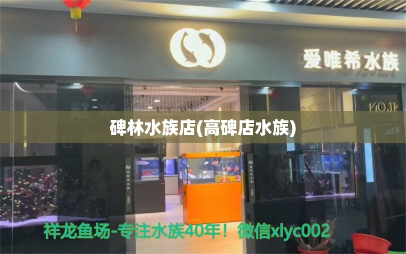 碑林水族店(高碑店水族)