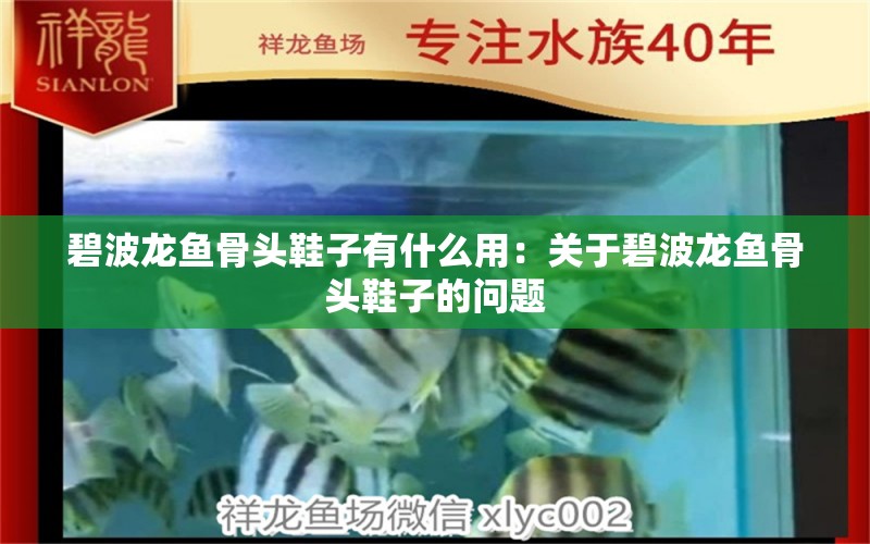 碧波龙鱼骨头鞋子有什么用：关于碧波龙鱼骨头鞋子的问题 水族问答 第1张