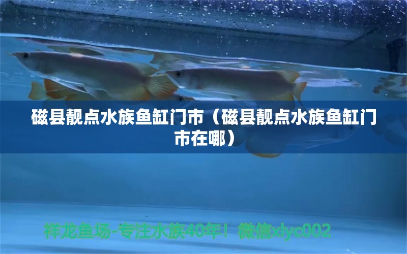 磁县靓点水族鱼缸门市（磁县靓点水族鱼缸门市在哪） 全国水族馆企业名录