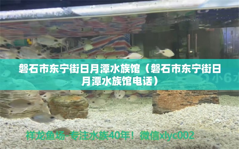 磐石市东宁街日月潭水族馆（磐石市东宁街日月潭水族馆电话）