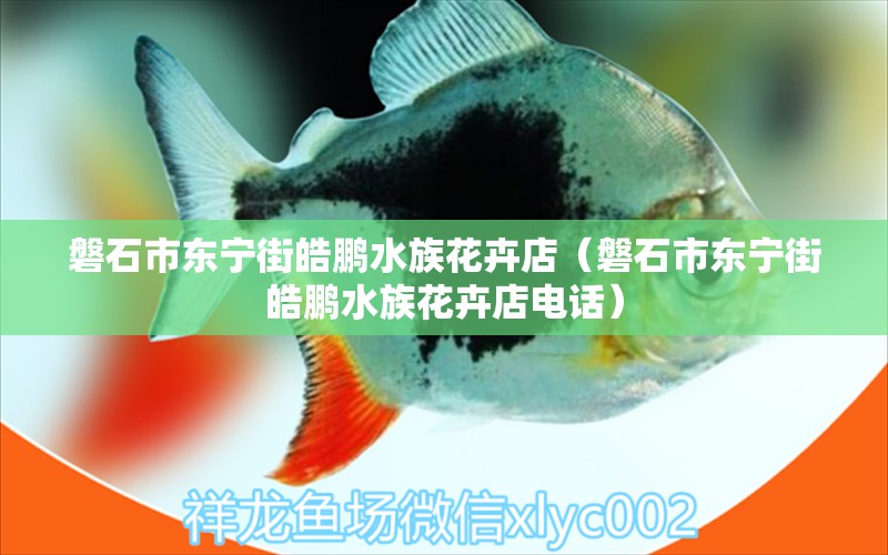 磐石市东宁街皓鹏水族花卉店（磐石市东宁街皓鹏水族花卉店电话）