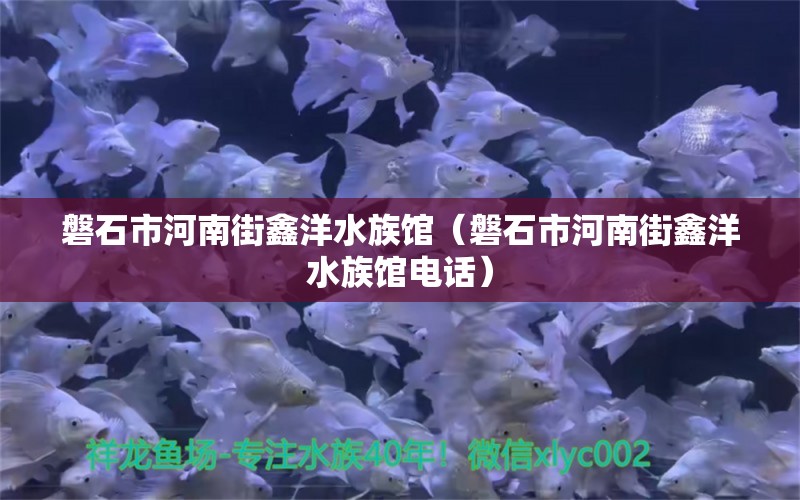 磐石市河南街鑫洋水族馆（磐石市河南街鑫洋水族馆电话）