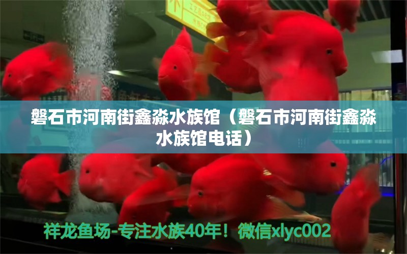 磐石市河南街鑫淼水族馆（磐石市河南街鑫淼水族馆电话） 全国水族馆企业名录