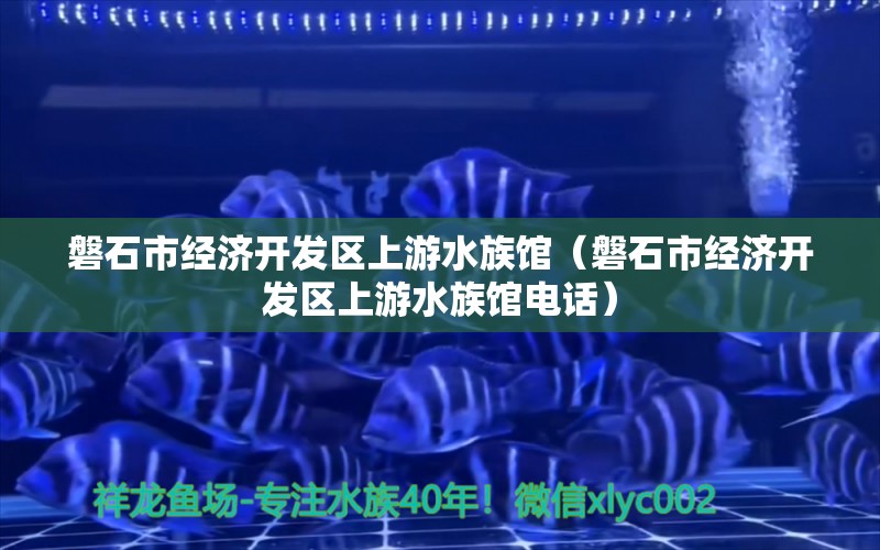 磐石市经济开发区上游水族馆（磐石市经济开发区上游水族馆电话）