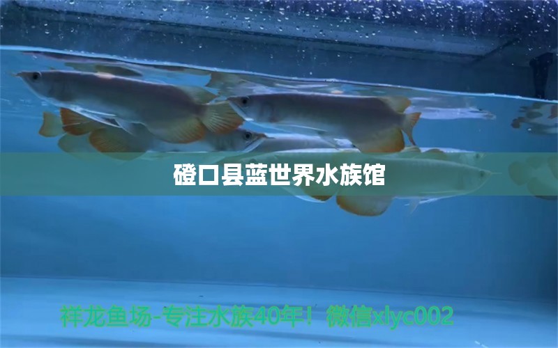 磴口县蓝世界水族馆
