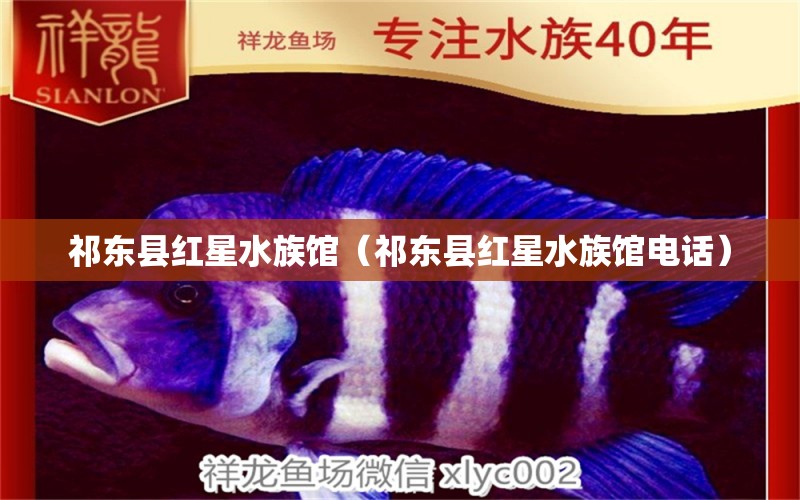 祁东县红星水族馆（祁东县红星水族馆电话） 全国水族馆企业名录