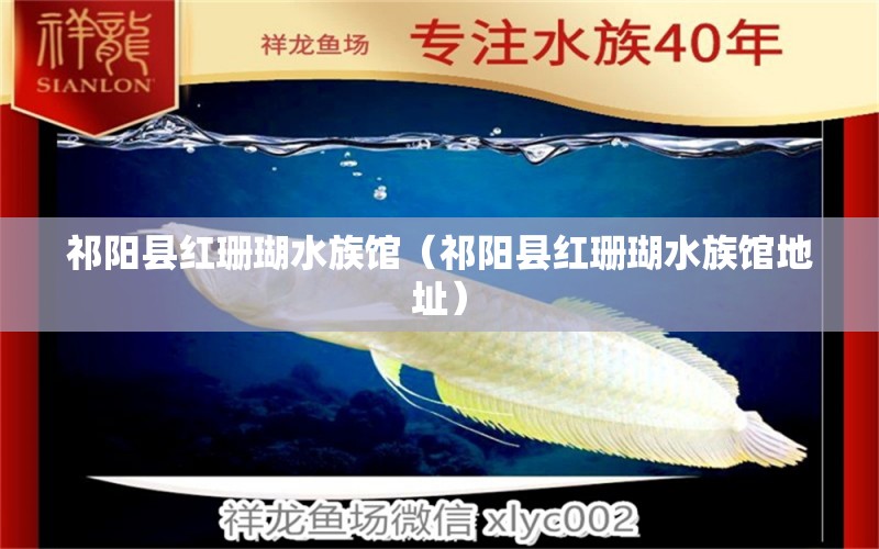 祁阳县红珊瑚水族馆（祁阳县红珊瑚水族馆地址） 全国水族馆企业名录