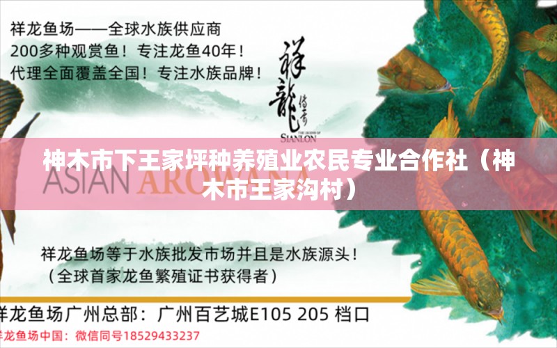 神木市下王家坪种养殖业农民专业合作社（神木市王家沟村）