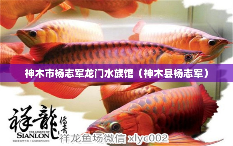 神木市杨志军龙门水族馆（神木县杨志军）