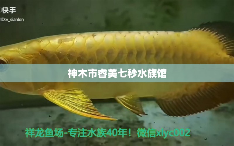 神木市睿美七秒水族馆 全国水族馆企业名录