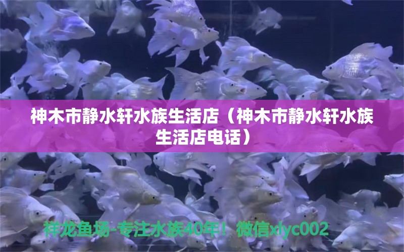 神木市静水轩水族生活店（神木市静水轩水族生活店电话） 全国水族馆企业名录