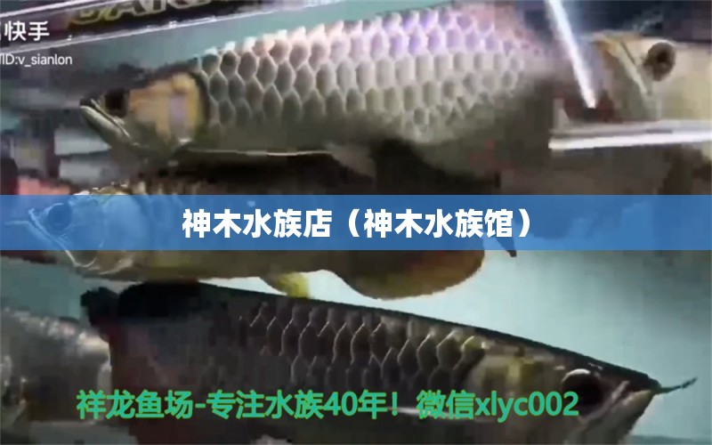 神木水族店（神木水族馆） 观赏鱼市场