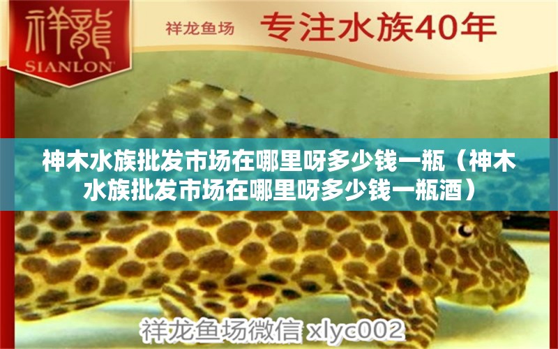 神木水族批发市场在哪里呀多少钱一瓶（神木水族批发市场在哪里呀多少钱一瓶酒）