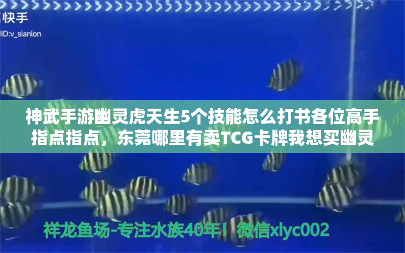 神武手游幽灵虎天生5个技能怎么打书各位高手指点指点，东莞哪里有卖TCG卡牌我想买幽灵虎那一版