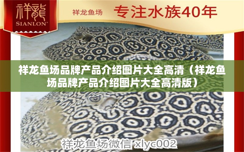 祥龙鱼场品牌产品介绍图片大全高清（祥龙鱼场品牌产品介绍图片大全高清版）