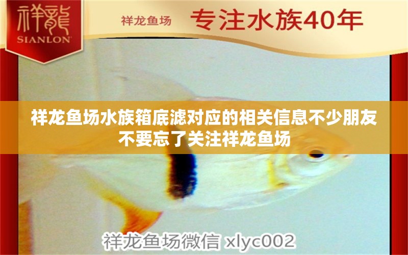 祥龙鱼场水族箱底滤对应的相关信息不少朋友不要忘了关注祥龙鱼场 祥龙鱼场